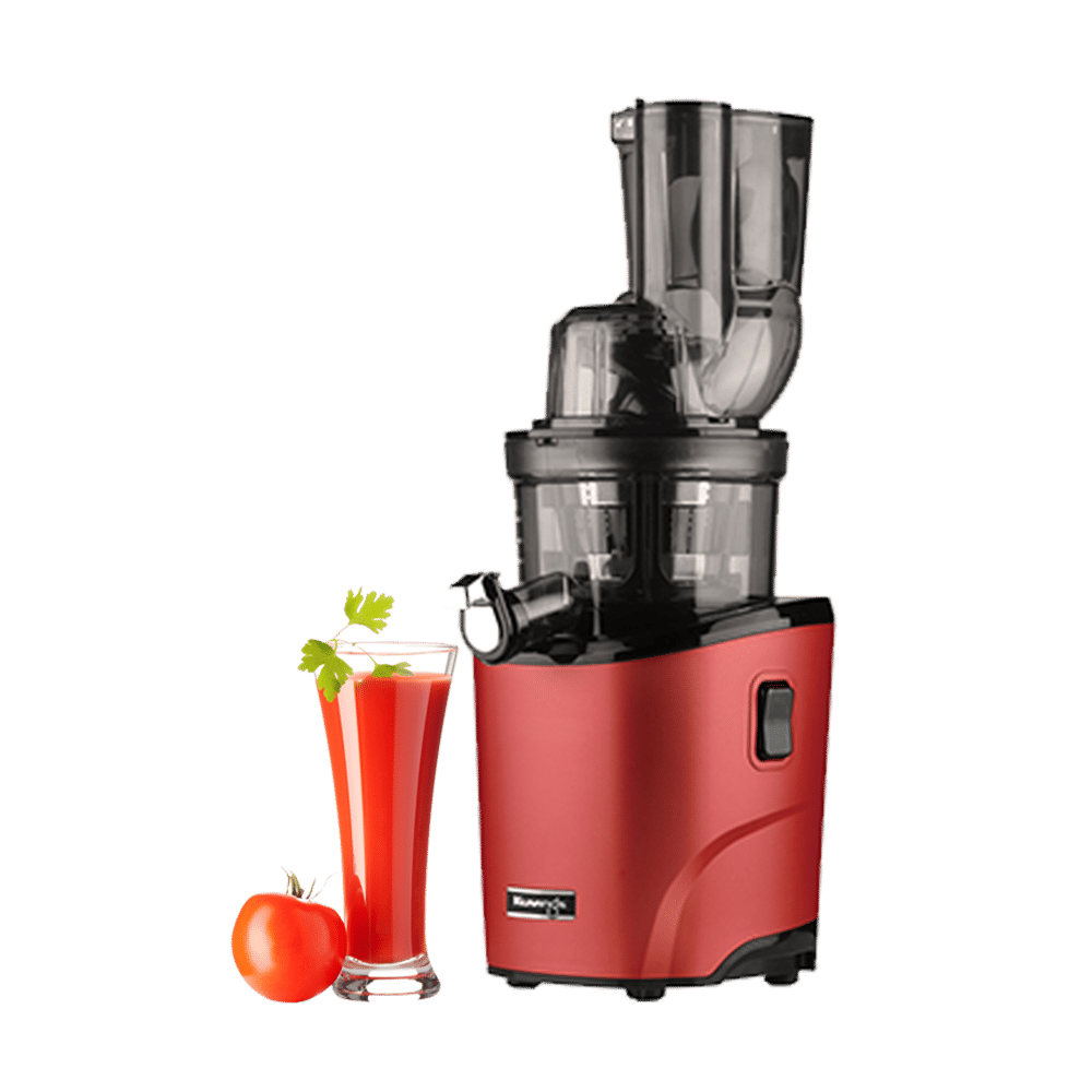 Buy Kuvings REVO 200 Watt Cold Press Slow Juicer (50 RPM